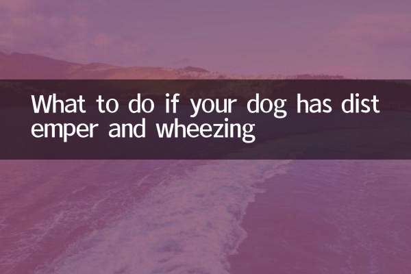 What to do if your dog has distemper and wheezing