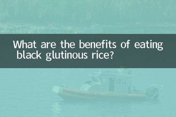 Quels sont les avantages de manger du riz gluant noir ?