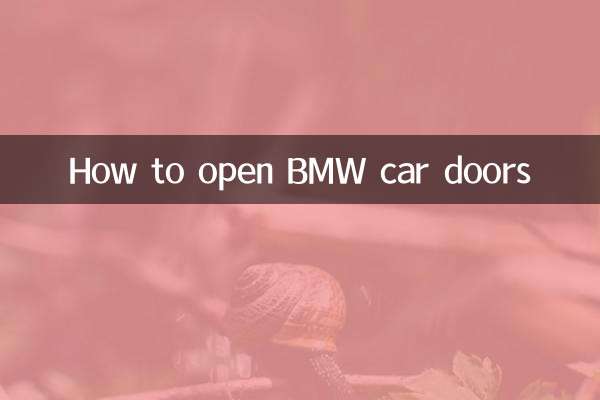 BMW 자동차 문 여는 방법