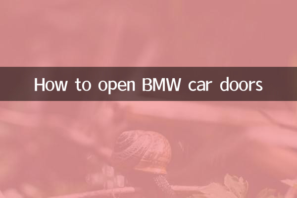 BMW 자동차 문 여는 방법