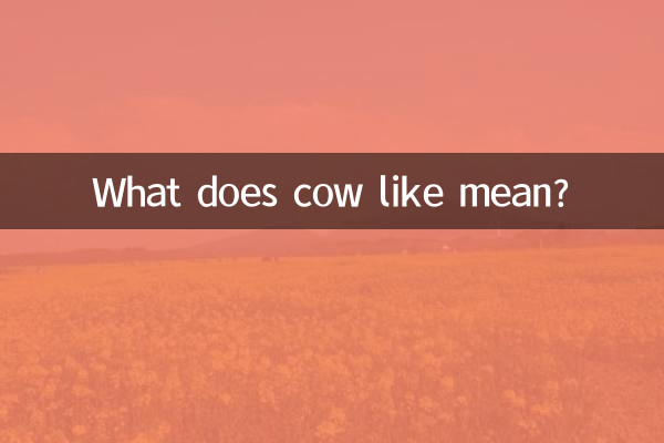 Что значит корова любит?