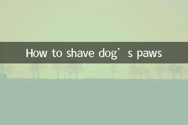Come radere le zampe del cane