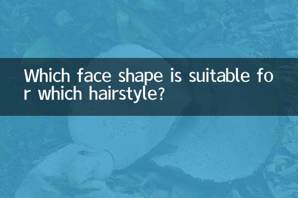 Welche Gesichtsform passt zu welcher Frisur?