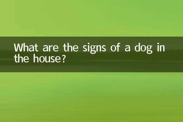 Quais são os sinais de um cachorro em casa?