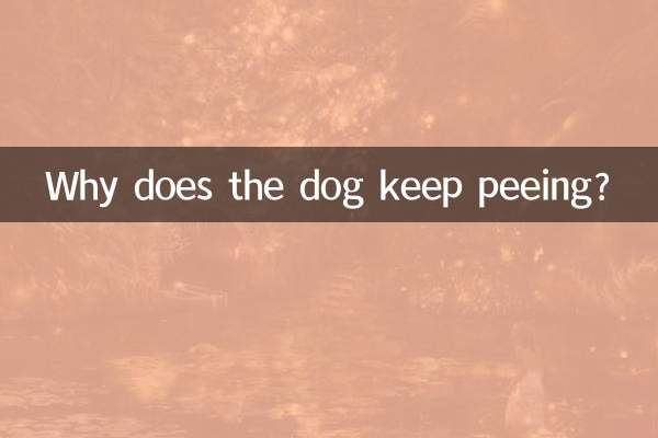 কুকুর প্রস্রাব করতে থাকে কেন?