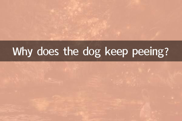 狗狗老是尿怎么回事