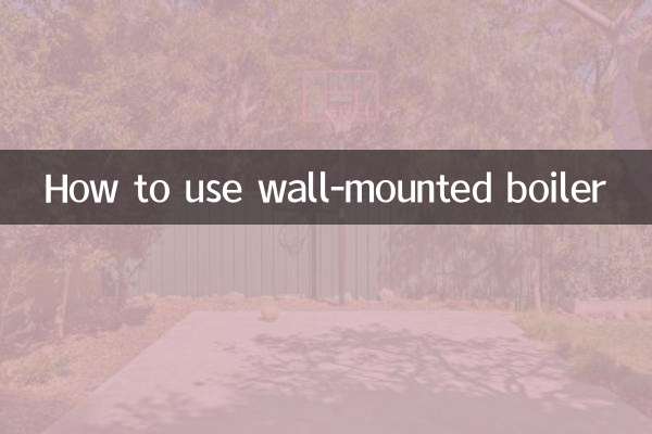 প্রাচীর-মাউন্ট করা বয়লার কীভাবে ব্যবহার করবেন