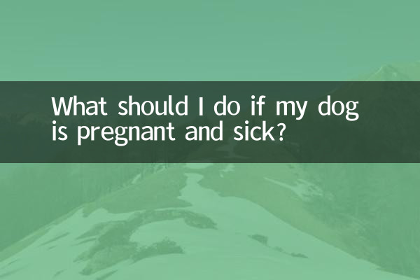 اگر میرا کتا حاملہ اور بیمار ہے تو مجھے کیا کرنا چاہئے؟