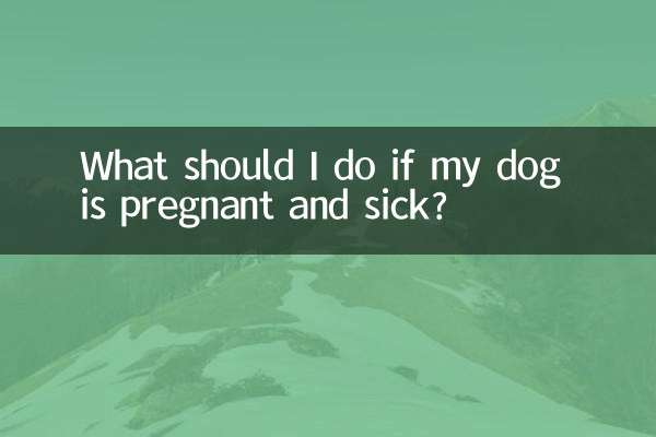 اگر میرا کتا حاملہ اور بیمار ہے تو مجھے کیا کرنا چاہئے؟