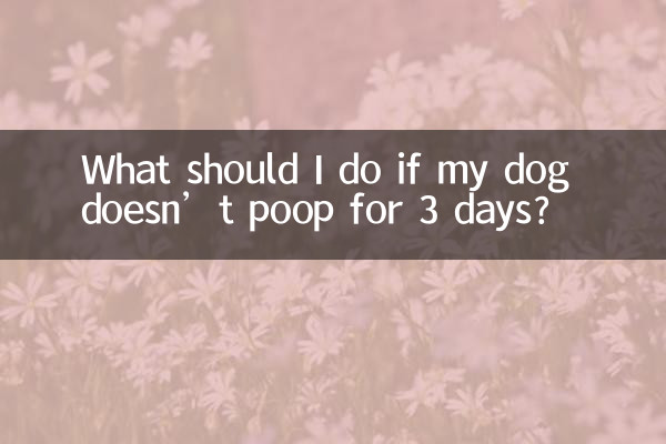 Cosa devo fare se il mio cane non fa la cacca per 3 giorni?