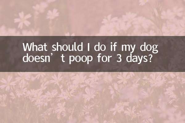 Cosa devo fare se il mio cane non fa la cacca per 3 giorni?