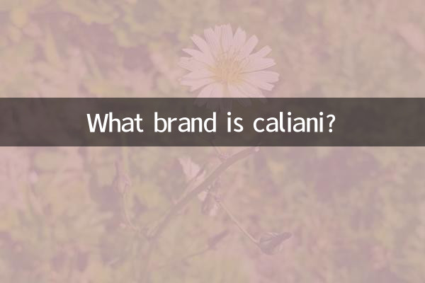 کالیانی چه مارکی است؟