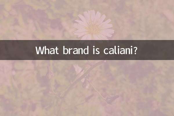 کالیانی چه مارکی است؟