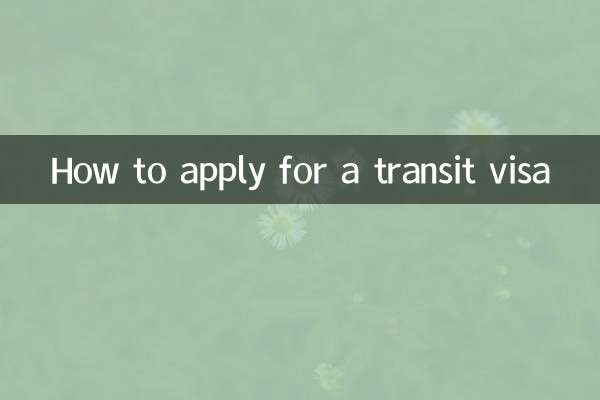 نحوه درخواست ویزای ترانزیت