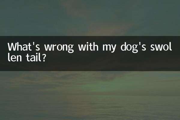 ¿Qué le pasa a la cola hinchada de mi perro?