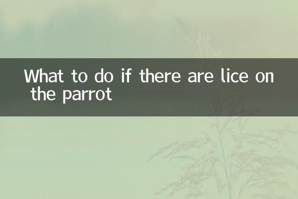 앵무새에 이가 있으면 어떻게 해야 할까요?