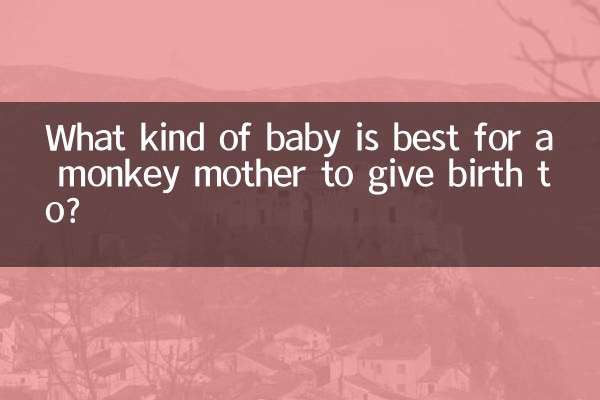 원숭이 엄마가 출산하기에 가장 좋은 아기는 무엇입니까?