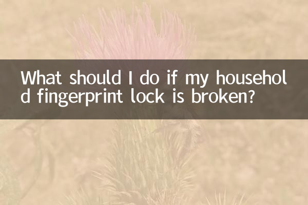 Что делать, если мой бытовой замок с отпечатком пальца сломался?