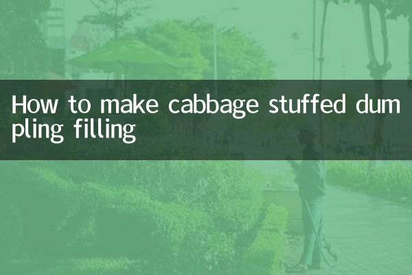 طرز تهیه فیلینگ پیراشکی شکم پر کلم