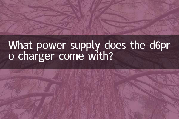 What power supply does the d6pro charger come with?