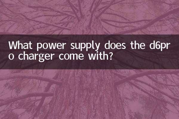 What power supply does the d6pro charger come with?