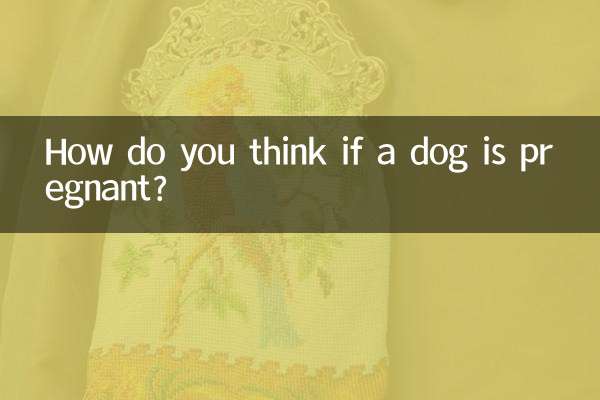 How do you think if a dog is pregnant?