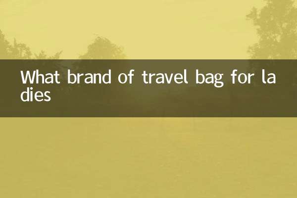 What brand of travel bag for ladies