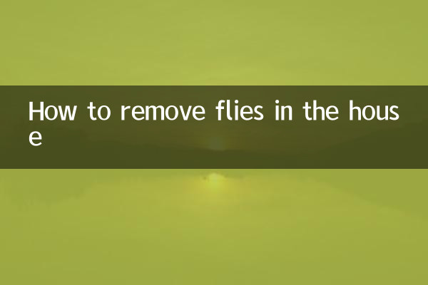 How to remove flies in the house
