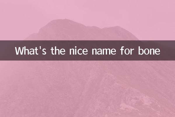 ¿Cuál es el buen nombre para el hueso?