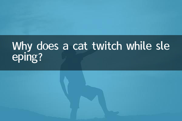 Why does a cat twitch while sleeping?