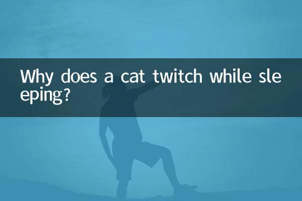 Warum zuckt eine Katze im Schlaf?