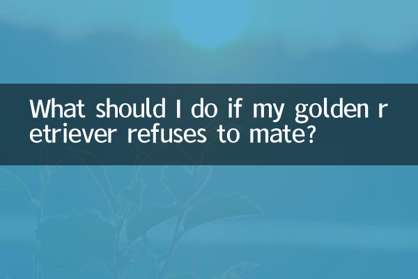 What should I do if my golden retriever refuses to mate?