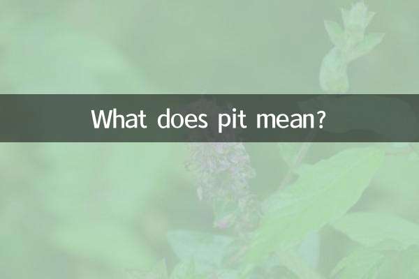 What does pit mean?