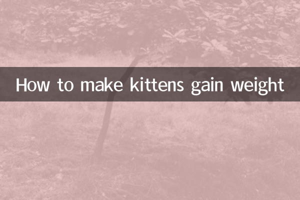 كيفية زيادة وزن القطط الصغيرة