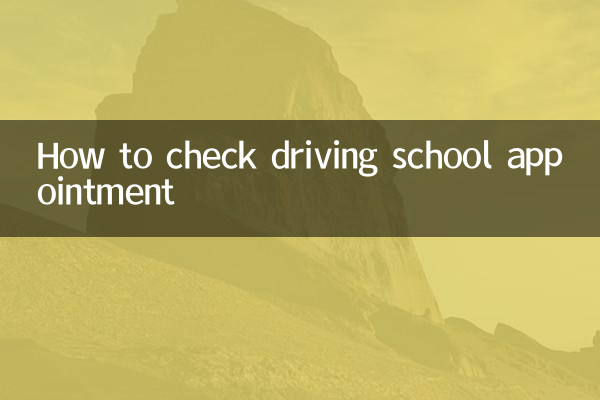 How to check driving school appointment