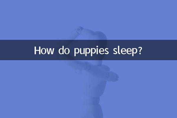 কুকুরছানা কিভাবে ঘুমায়?