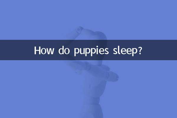 Wie schlafen Welpen?