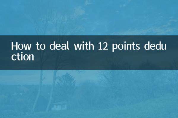 12점 감점 처리 방법