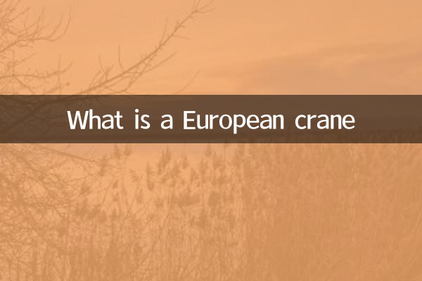 ایک یورپی کرین کیا ہے؟