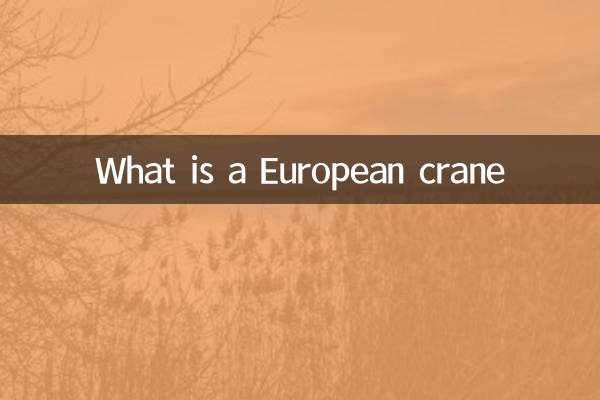 O que é um guindaste europeu