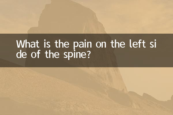 What is the pain on the left side of the spine?