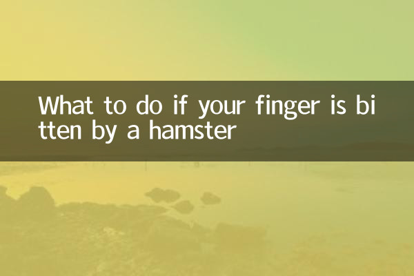 What to do if your finger is bitten by a hamster