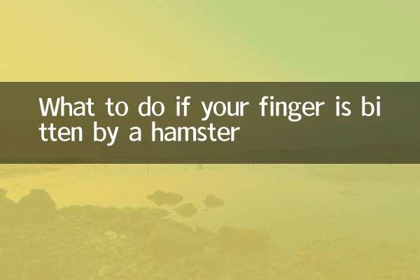 햄스터에게 손가락을 물린 경우 대처 방법