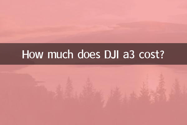 DJI a3의 가격은 얼마인가요?