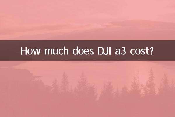 كم تكلفة دي جي آي a3؟