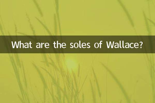 Quelles sont les semelles de Wallace ?