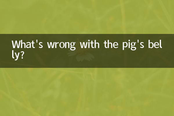 Cosa c'è che non va nella pancia del maiale?