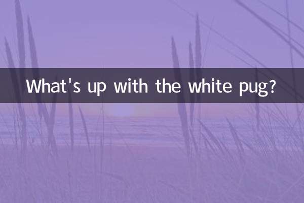 ما الأمر مع الصلصال الأبيض؟