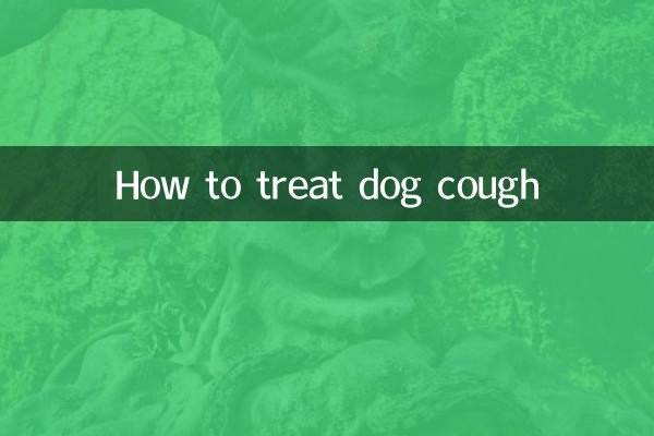 So behandeln Sie Hundehusten