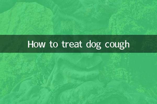 Как лечить кашель у собаки